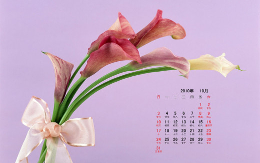 498390 (a): :1920x1200